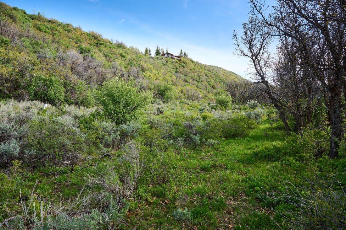 Land in Snowmass, Colorado, United States 4 - 18334025