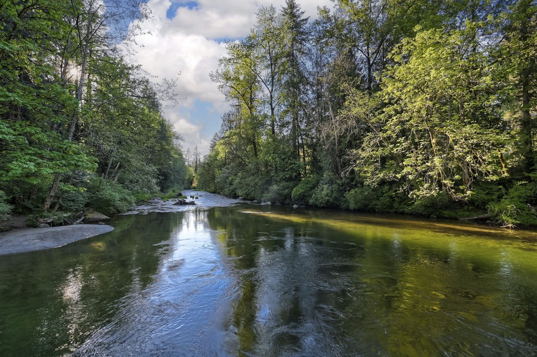 Estate in Maple Ridge, British Columbia, Canada 4 - 18334113