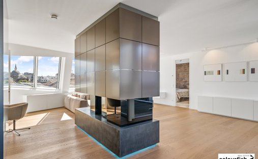 Penthouse in Vienna, Wien, Austria 1