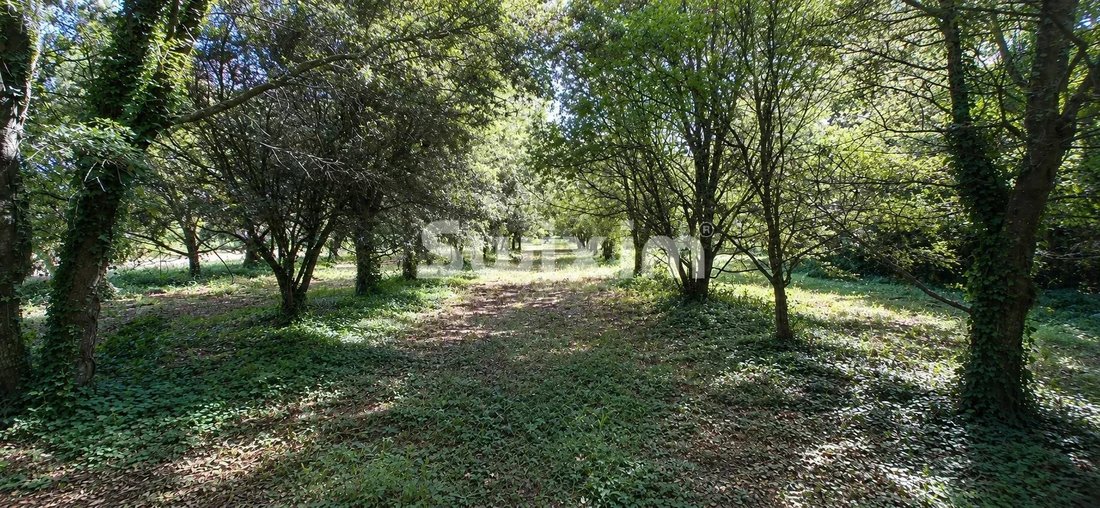 Country House in Grignan, Auvergne-Rhône-Alpes, France 4 - 18334215