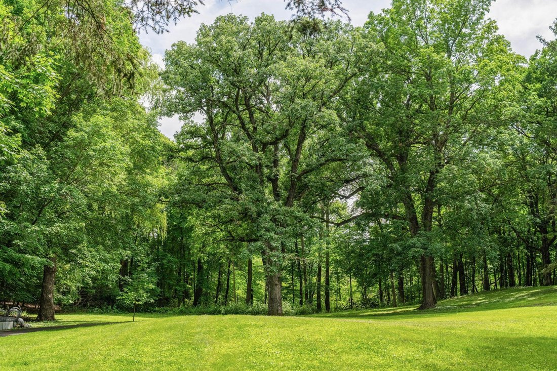 Land in Wayzata, Minnesota, United States 3 - 18334482