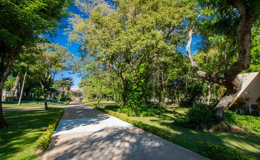 Land in Luque, Central Department, Paraguay 1