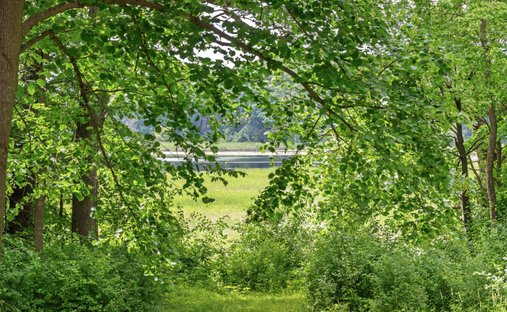 Land in Wayzata, Minnesota, United States 1