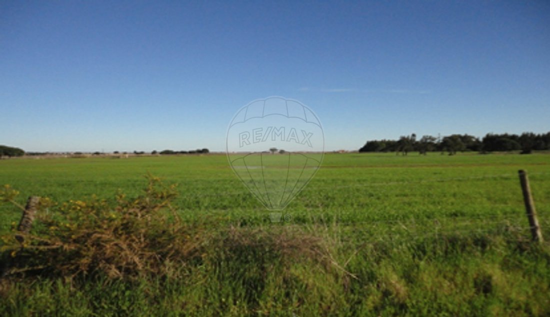 Land in Poceirao e Marateca, Setubal, Portugal 4 - 18335479