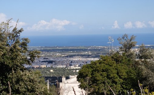 Villa in Selva di Fasano - Laureto, Selva di Fasano, Apulia 1