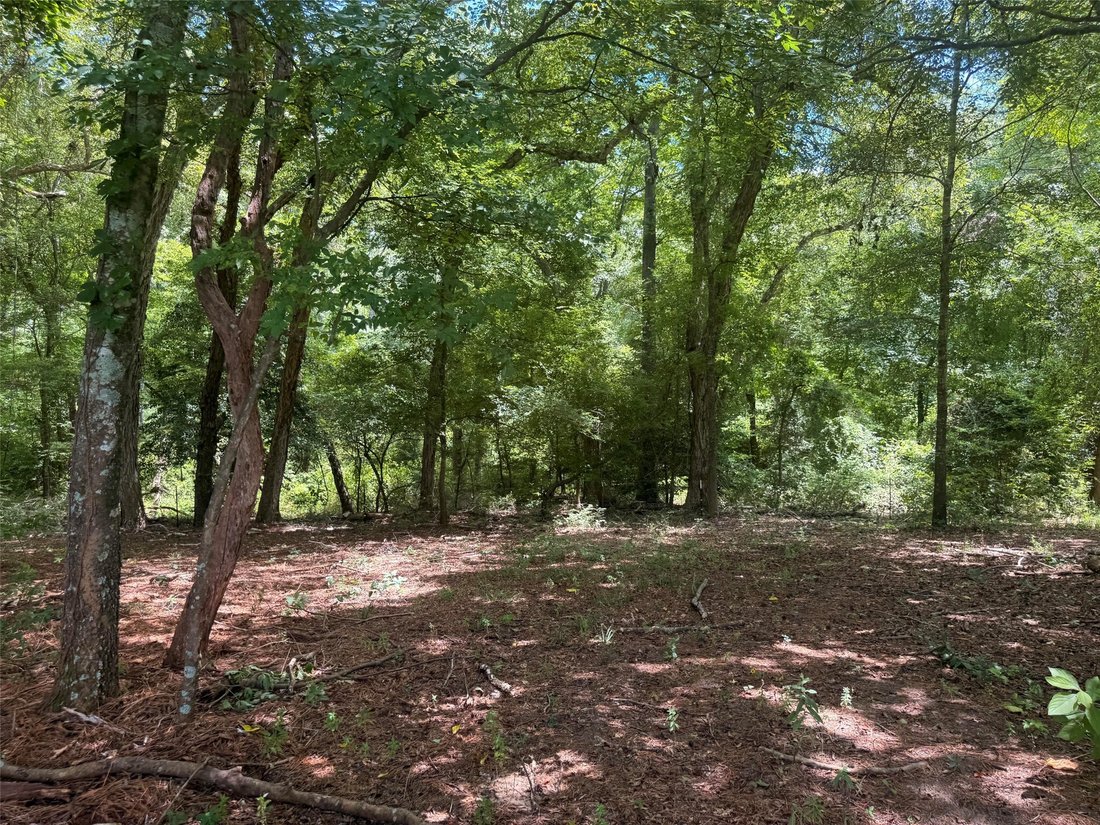 Farm Ranch in Murchison, Texas, United States 5 - 18340864