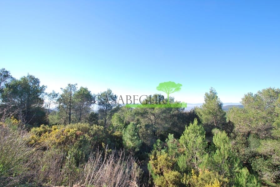 Land in Begur, Catalonia, Spain 4 - 18335153