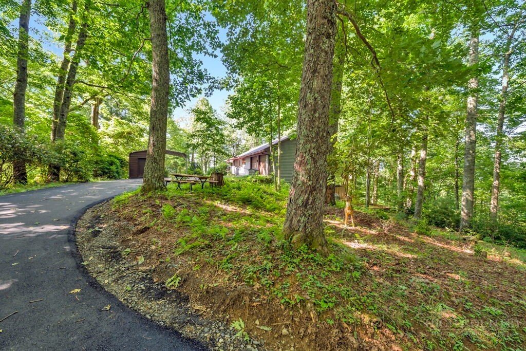 House in Newland, North Carolina, United States 4 - 18296531