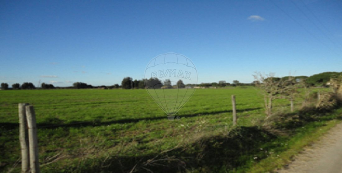 Land in Poceirao e Marateca, Setubal, Portugal 1 - 18335479