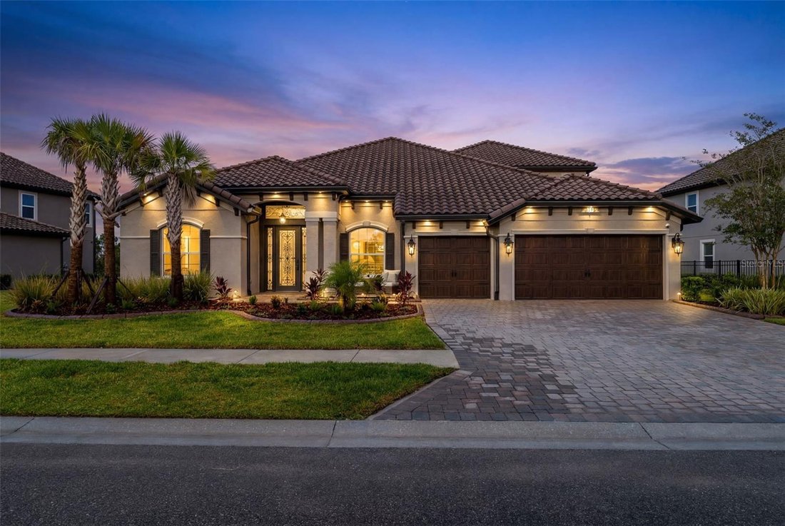 House in Wesley Chapel, Florida, United States 1 - 18335442