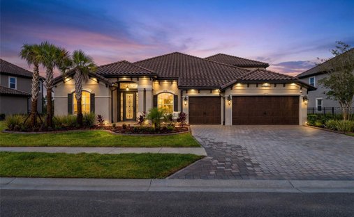 House in Wesley Chapel, Florida, United States 1
