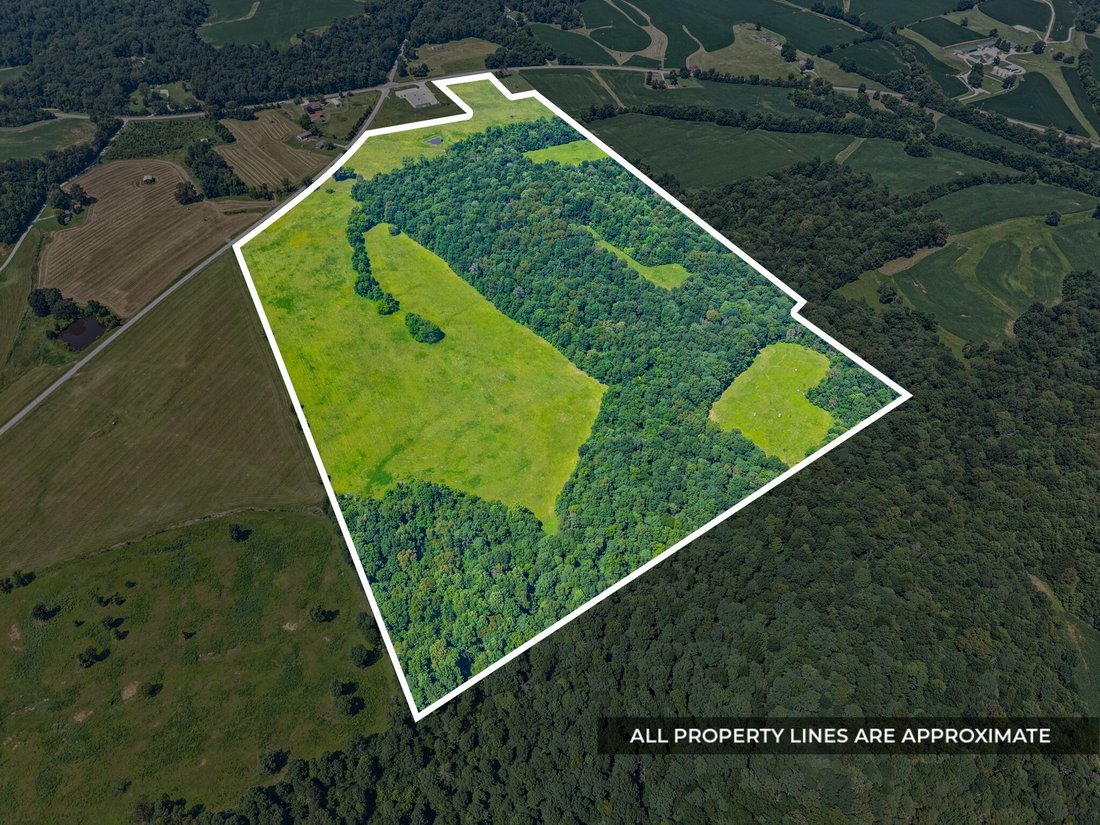 Farm Ranch in Princeton, Kentucky, United States 1 - 18340792