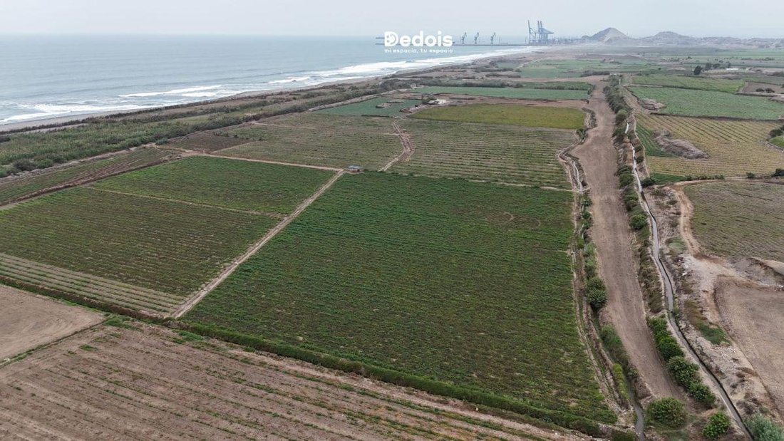 Land in Huaral, Belarus 1 - 18334669