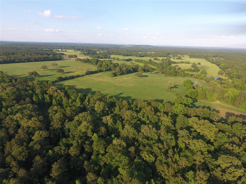 Farm Ranch in Palestine, Texas, United States 5 - 18336181