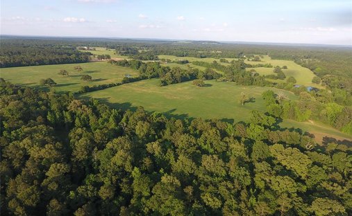 Farm Ranch in Palestine, Texas, United States 1