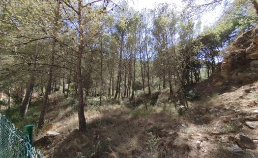 Land in sa Riera, Begur, Catalonia 1