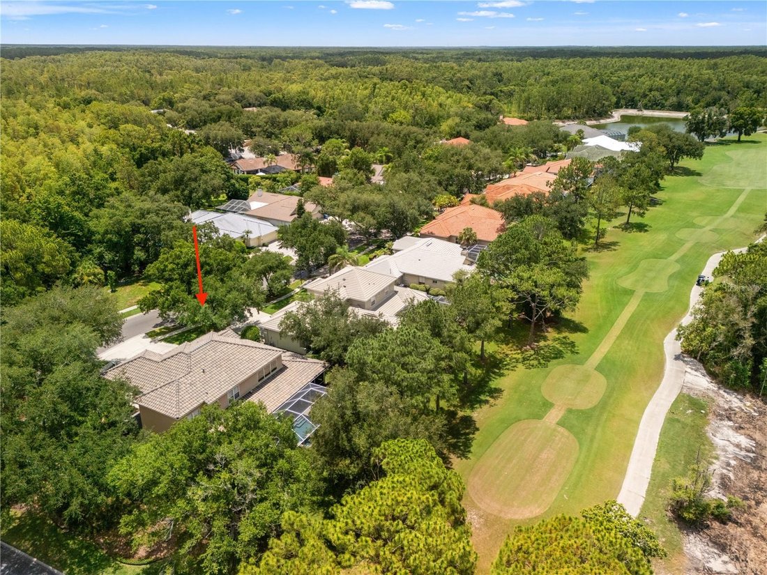 House in Tampa, Florida, United States 4 - 18335549