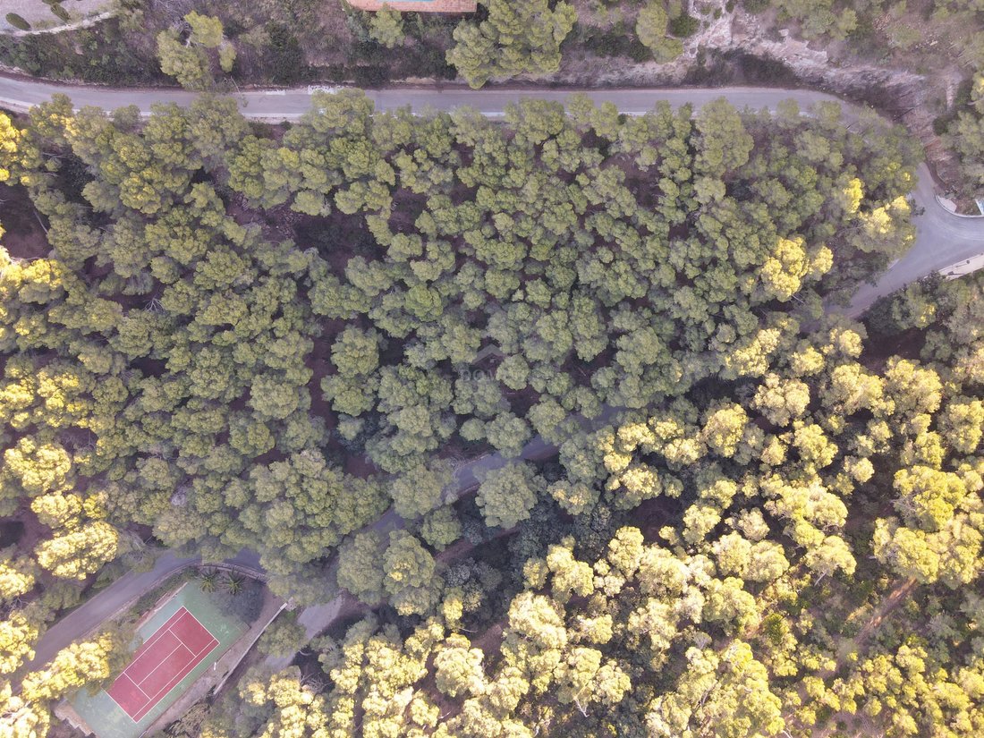 Land in sa Riera, Begur, Catalonia 3 - 18335113