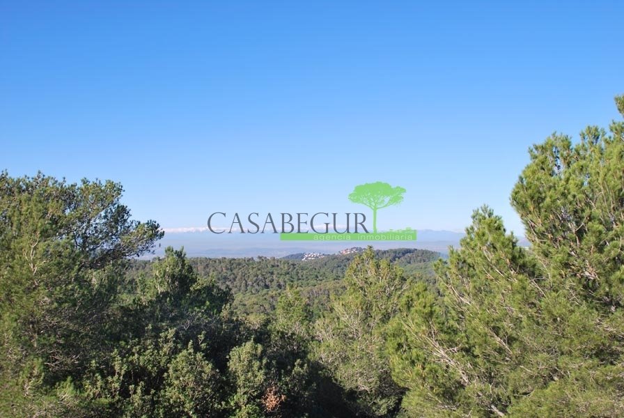 Land in Begur, Catalonia, Spain 5 - 18335153