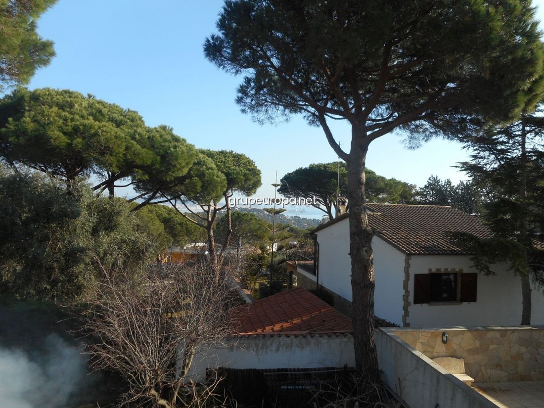 House in Torre Valentina, Calonge i Sant Antoni, Catalonia 3 - 18335318