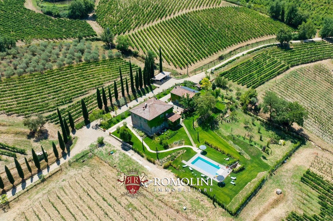 Farm Ranch in Center, Greve in Chianti, Tuscany 5 - 18336251