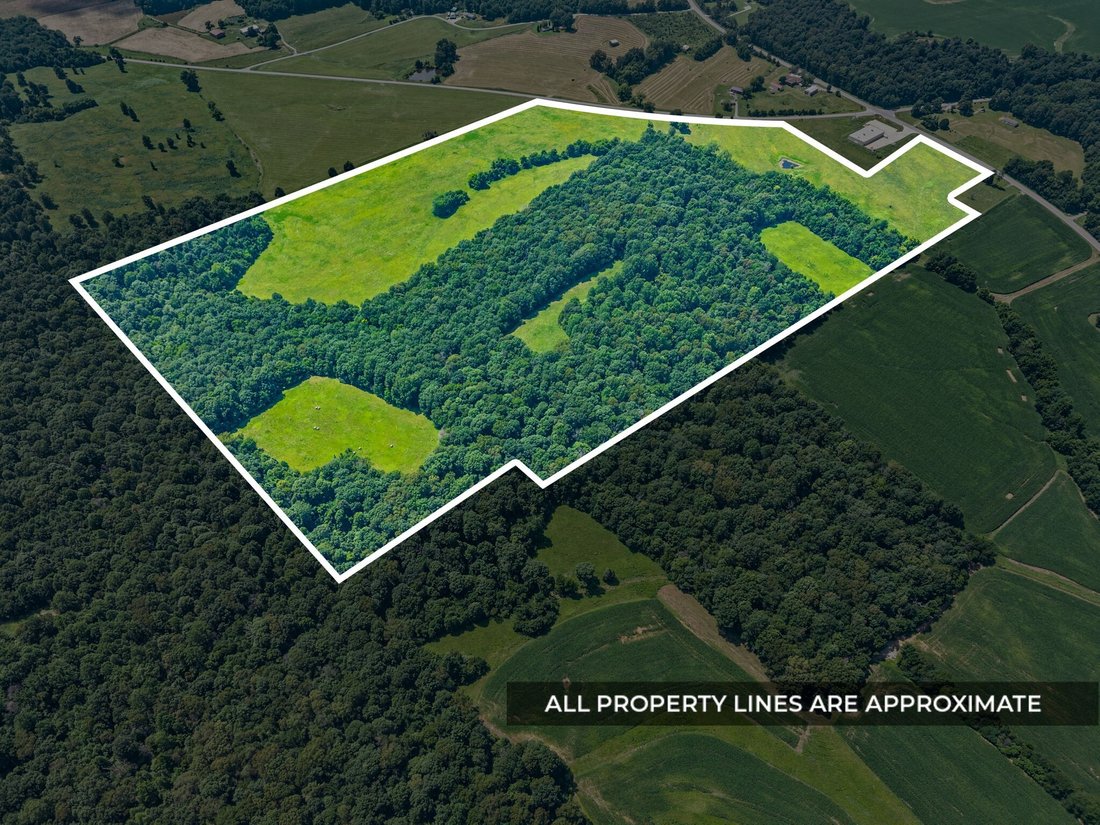 Farm Ranch in Princeton, Kentucky, United States 2 - 18340792