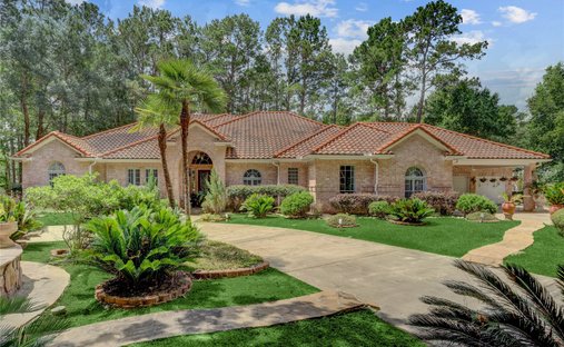 House in Magnolia, Texas, United States 1