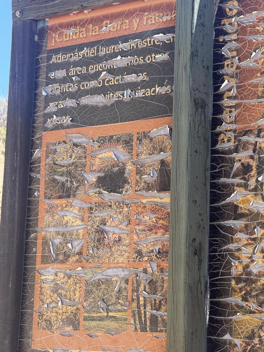 Land in Villa Hidalgo, Jalisco, Mexico 4 - 18338961