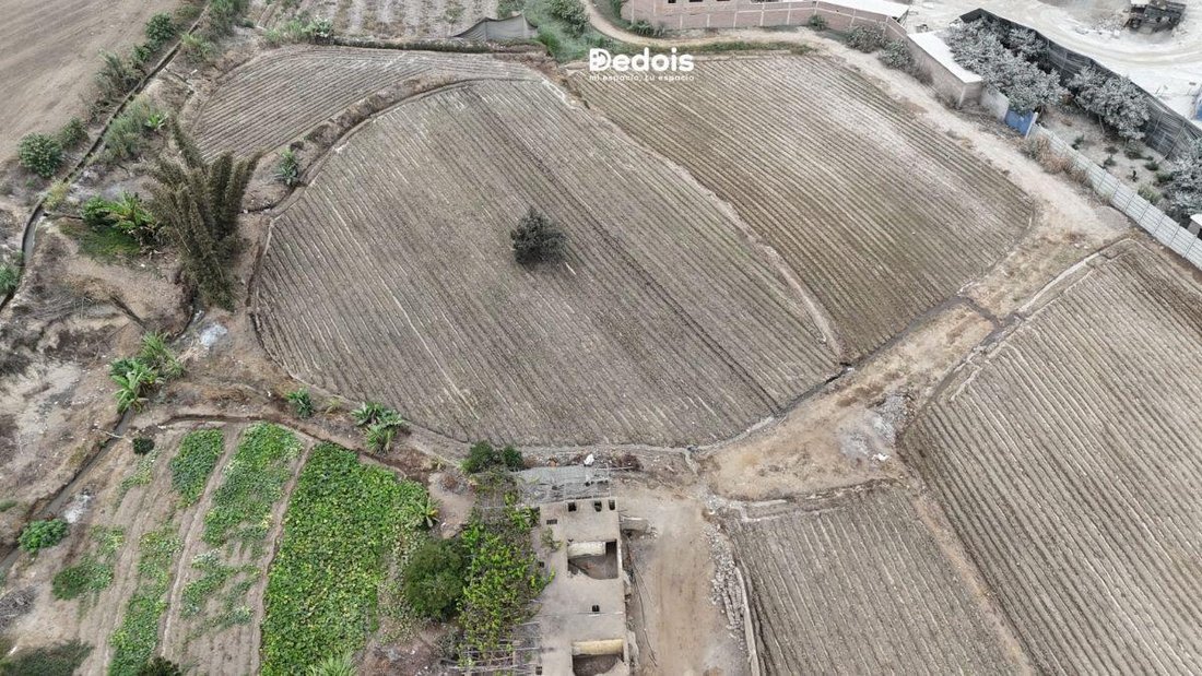 Land in Huaral, Belarus 5 - 18334669