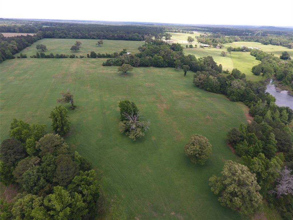 Farm Ranch in Palestine, Texas, United States 4 - 18336181