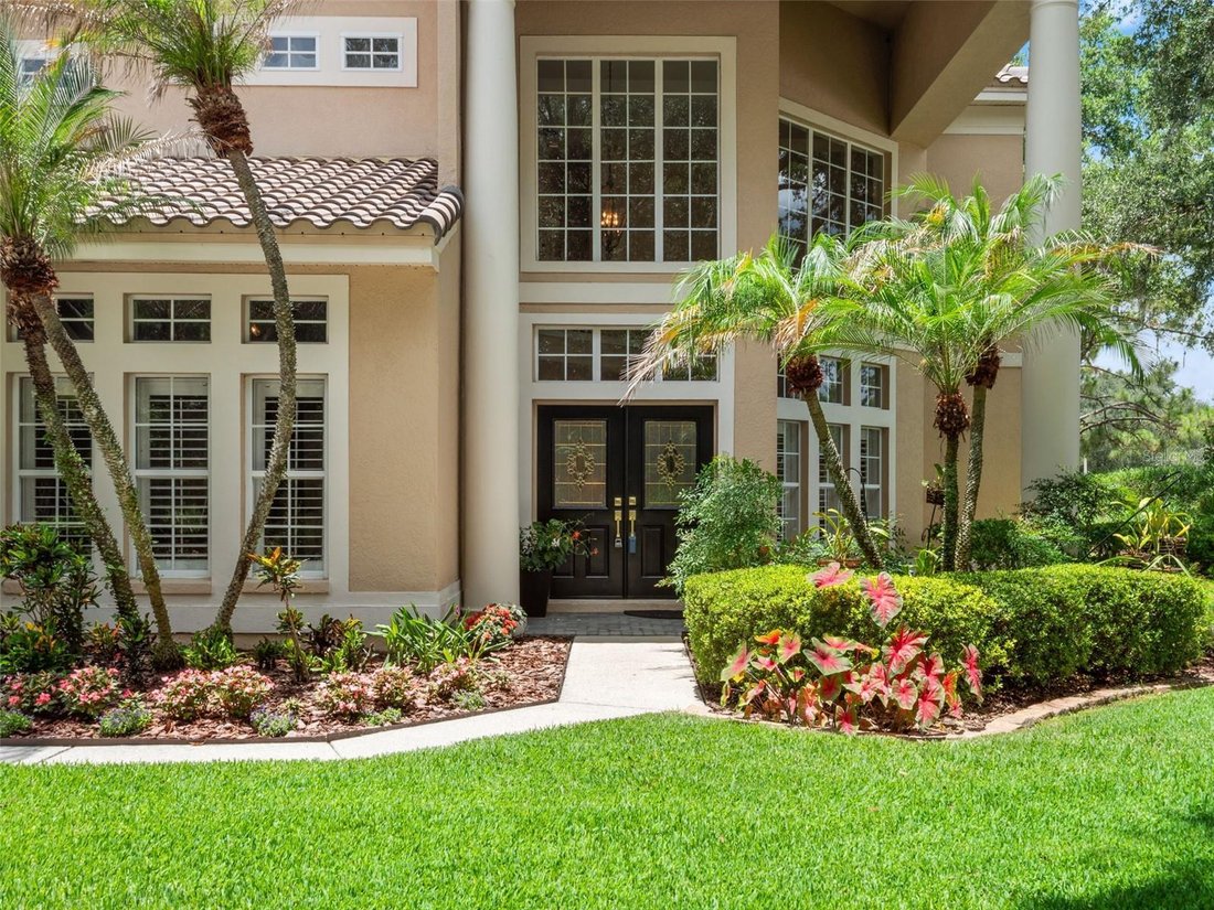 House in Tampa, Florida, United States 5 - 18335549