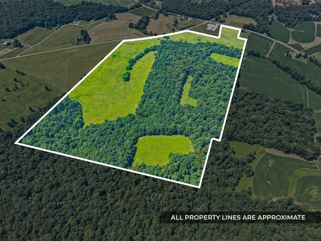 Farm Ranch in Princeton, Kentucky, United States 3 - 18340792