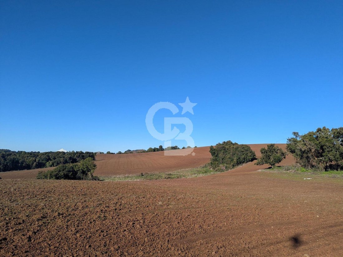 Land in San Pablo, Los Lagos, Chile 1 - 18336681