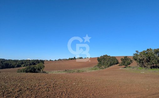 Land in San Pablo, Los Lagos, Chile 1
