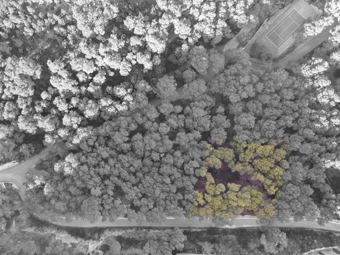 Land in sa Riera, Begur, Catalonia 5 - 18335113