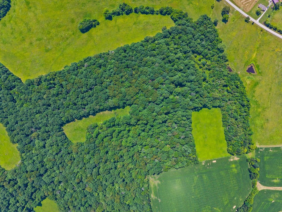 Farm Ranch in Princeton, Kentucky, United States 4 - 18340792