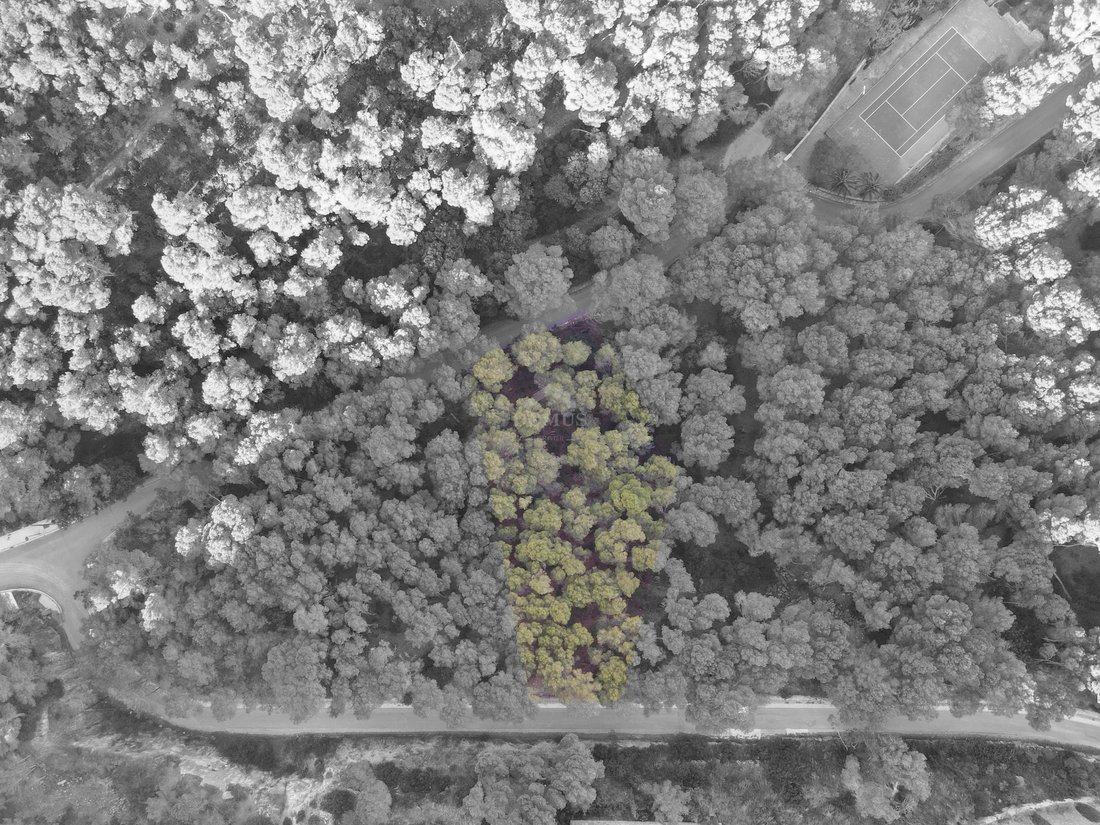 Land in sa Riera, Begur, Catalonia 4 - 18335113