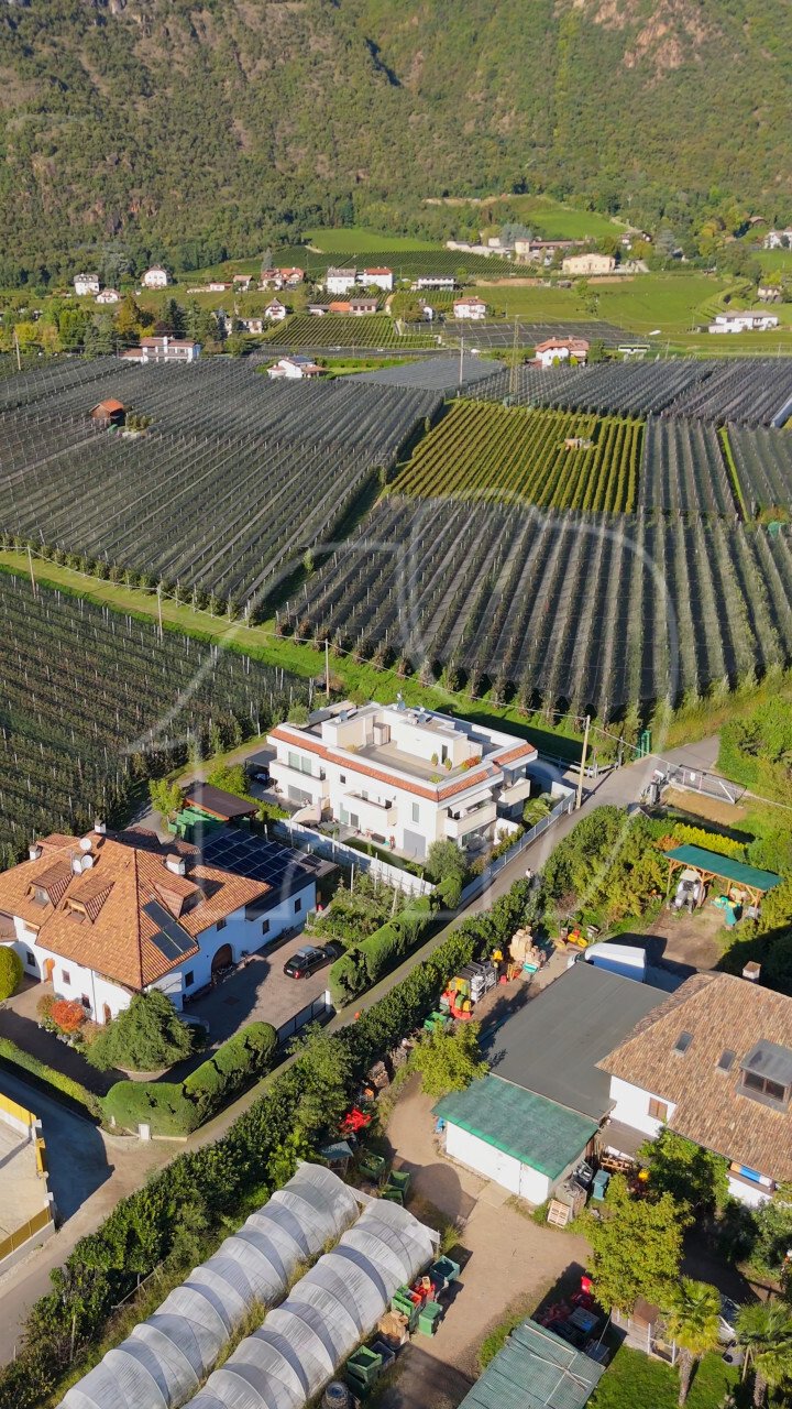 Villa in Don Bosco, Bolzano / Bozen, Trentino – Alto Adige/Südtirol 5 - 18341585