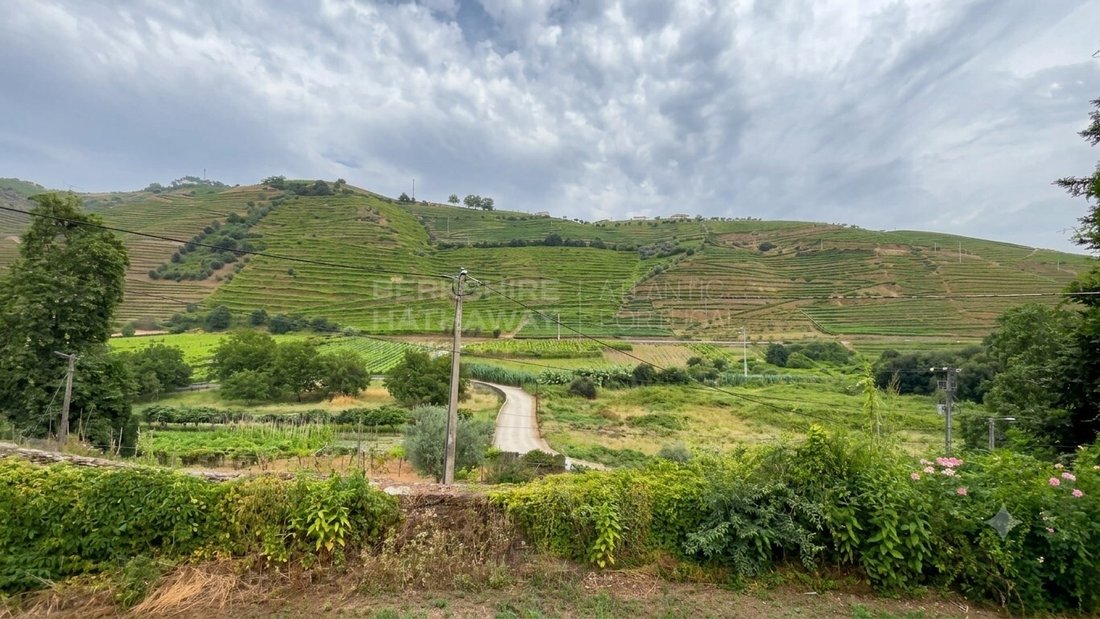 Finca in Cumeeira, Vila Real District, Portugal 3 - 18282380