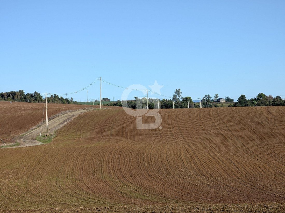 Land in San Pablo, Los Lagos, Chile 2 - 18336681