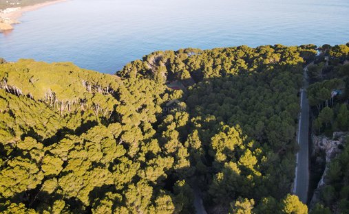 Land in sa Riera, Begur, Catalonia 1