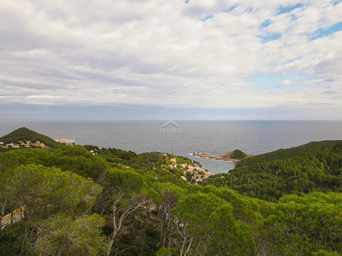 Villa in sa Tuna, Begur, Catalonia 5 - 18335978