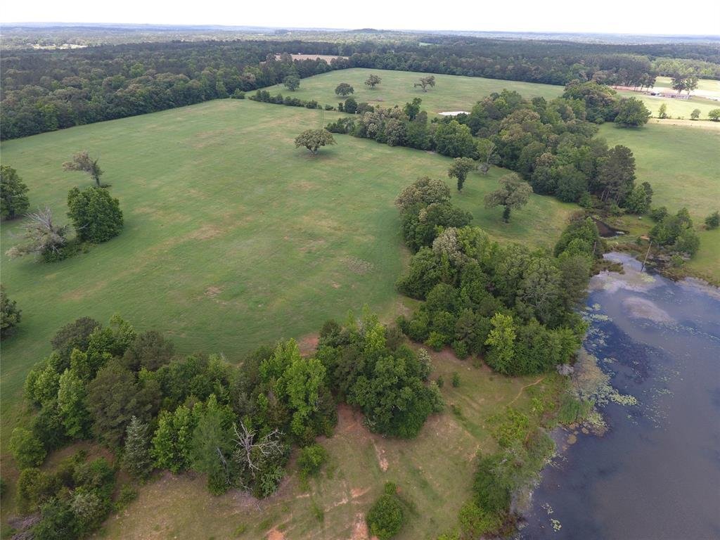 Farm Ranch in Palestine, Texas, United States 2 - 18336181
