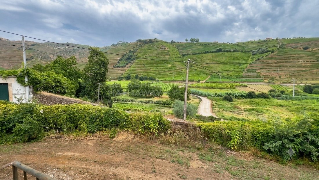Finca in Cumeeira, Vila Real District, Portugal 2 - 18282380