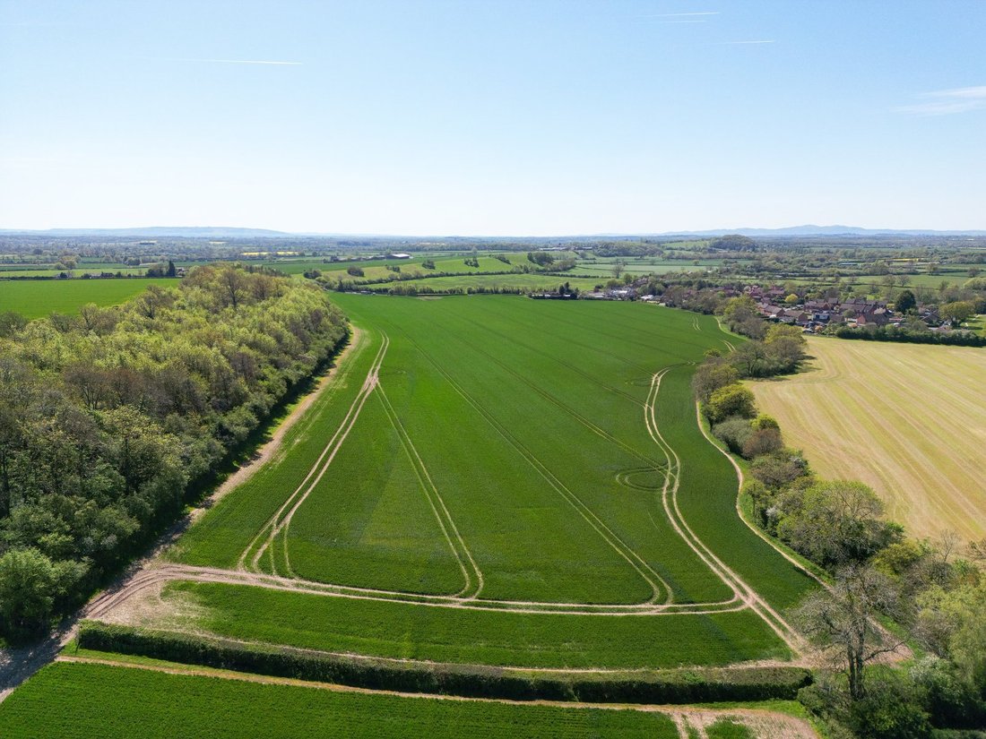 Land in Rock Hill, Stoke Prior, England 4 - 18334877