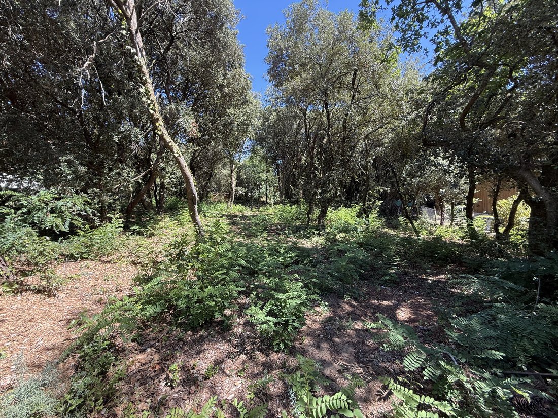 Land in Saint-Palais-sur-Mer, Nouvelle-Aquitaine, France 3 - 16125116