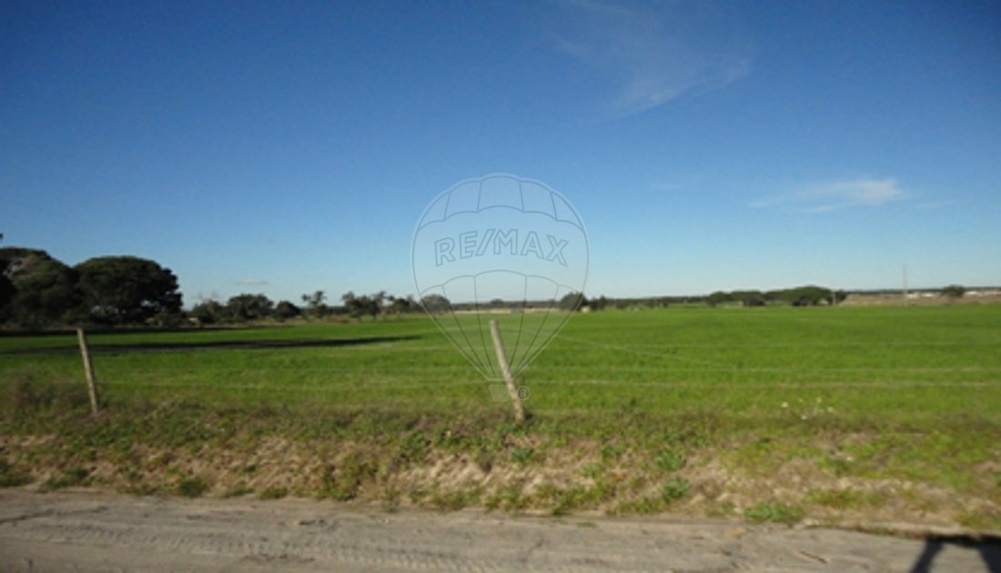 Land in Poceirao e Marateca, Setubal, Portugal 3 - 18335479