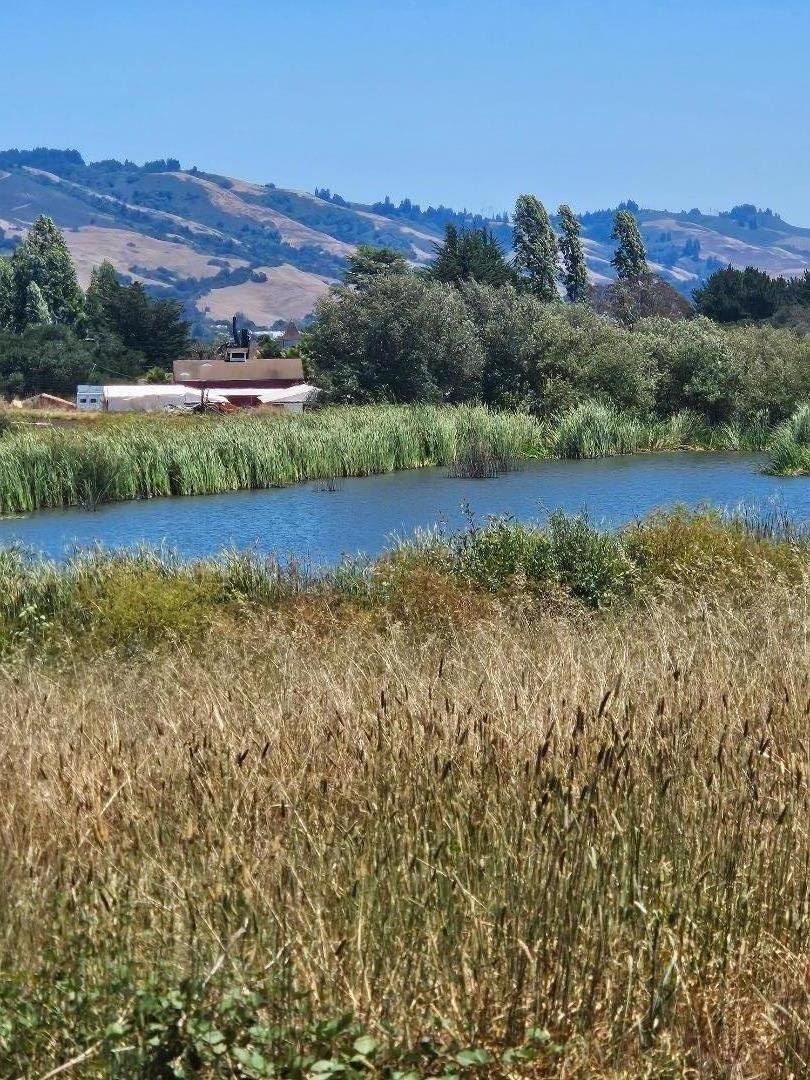 Land in Watsonville, California, United States 5 - 18340764