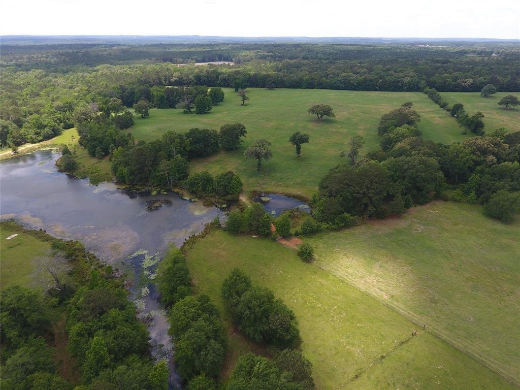 Farm Ranch in Palestine, Texas, United States 1 - 18336181