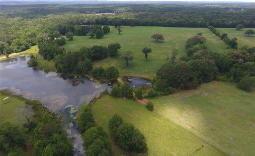 Land in Palestine, Texas, United States 1